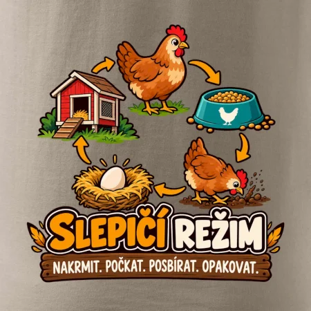 Slepičí režim od krmení po sběr vajec