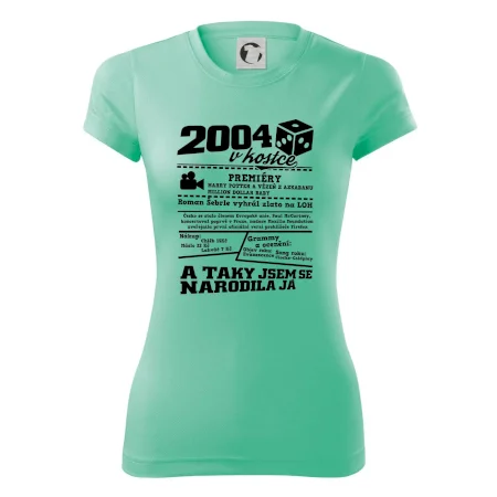 2004 v kostce