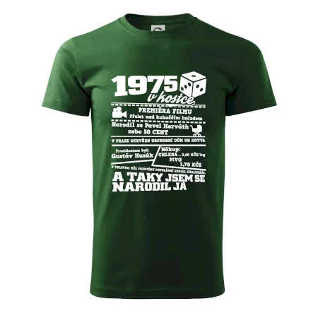 1975 v kostce