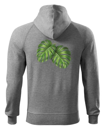 Monstera - dva listy