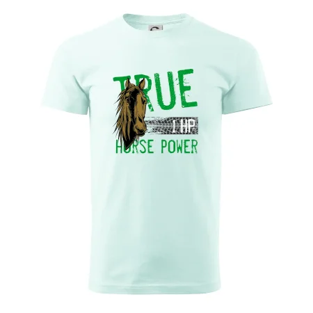 True Horse Power 1 HP