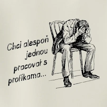 Chci alespoň jednou pracovat s profíkama