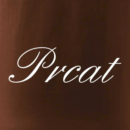 Prcat (souložit vulgárně)