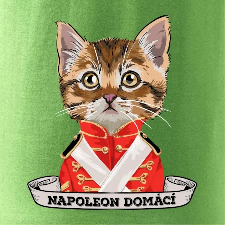 Napoleon domácí kočka