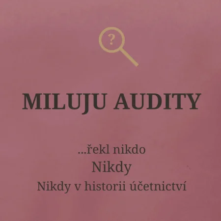 Miluju audity řekl nikdo nikdy