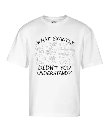 What exactly didnt you understand - physics