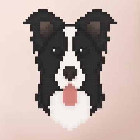 Border kolie Pixel