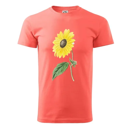 Slunečnice otočená
