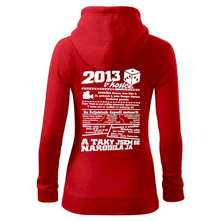 2013 v kostce
