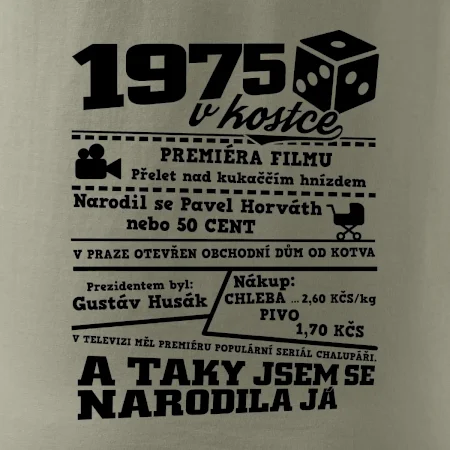 1975 v kostce