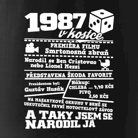 1987 v kostce