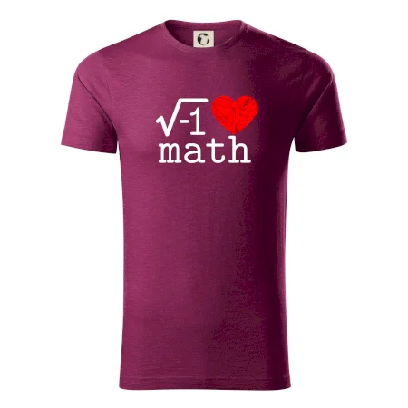 I love math