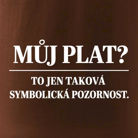 Můj plat? to jen taková symbolická pozornost