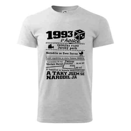 1993 v kostce