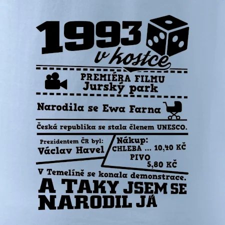 1993 v kostce