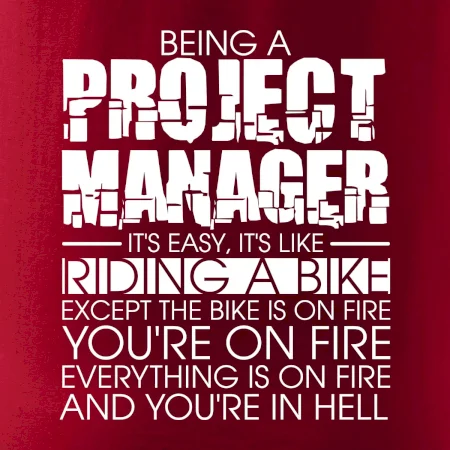 Being A Project Manager - bike
