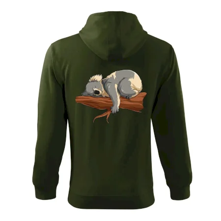 Koala na větvi