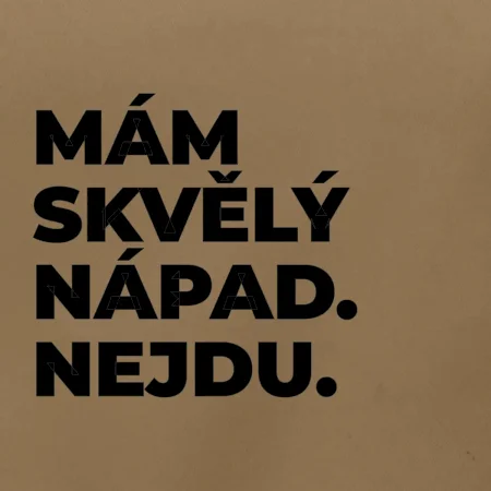 MÁM SKVĚLÝ NÁPAD. NEJDU.