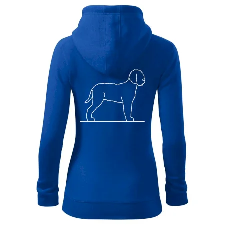 Lagotto romagnolo stojící