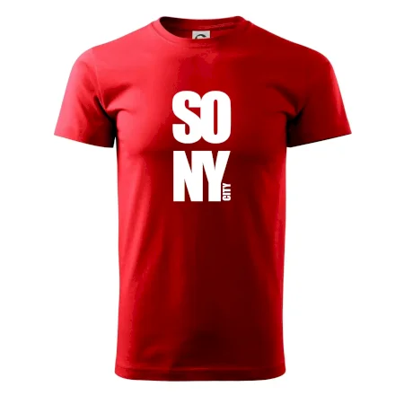 SO NY city