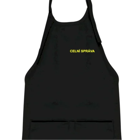 Celní správa