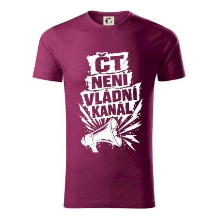ČT není vládní kánál