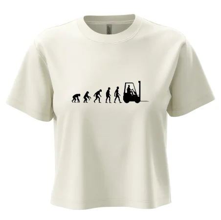 Evoluce ještěrka