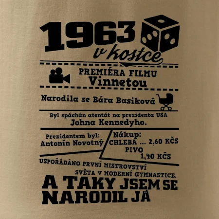 1963 v kostce