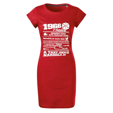 1966 v kostce