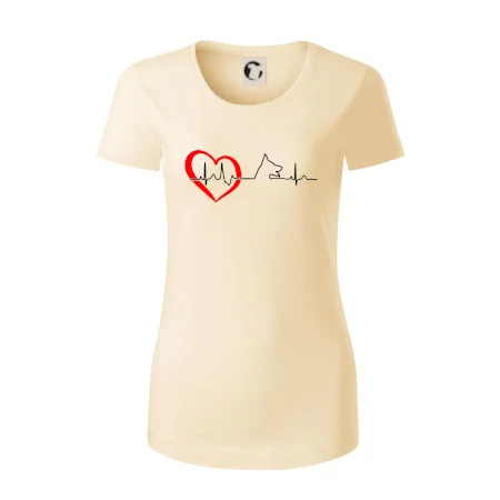 Německý ovčák ekg