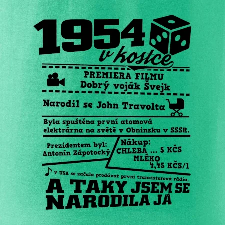 1954 v kostce