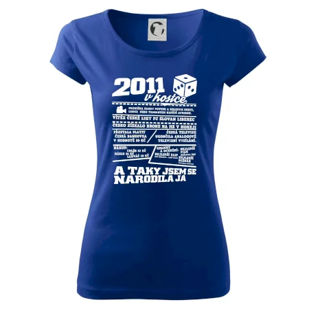 2011 v kostce