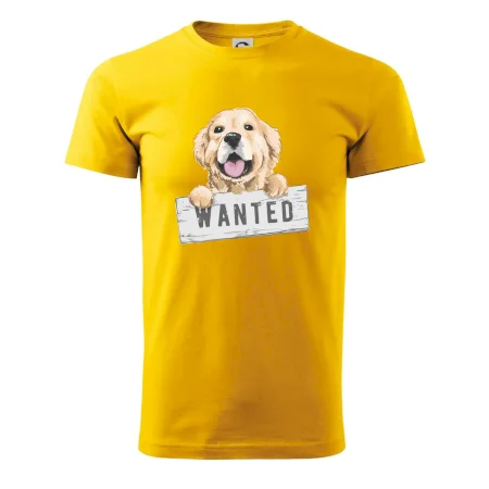 Zlatý retriever - štěně wanted