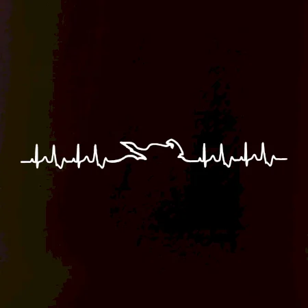 Moto EKG