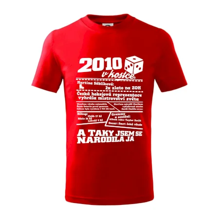 2010 v kostce