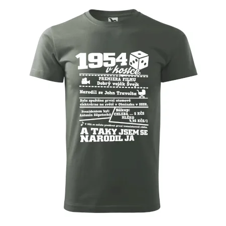 1954 v kostce