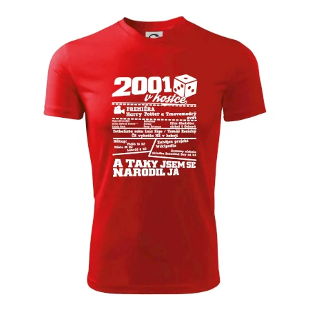 2001 v kostce