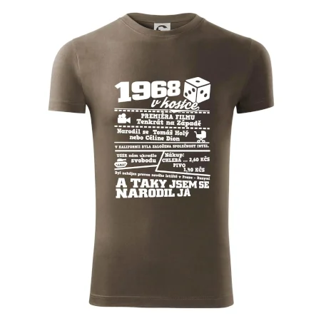 1968 v kostce
