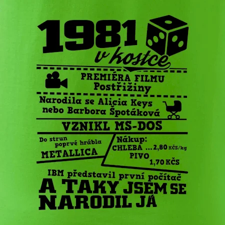 1981 v kostce