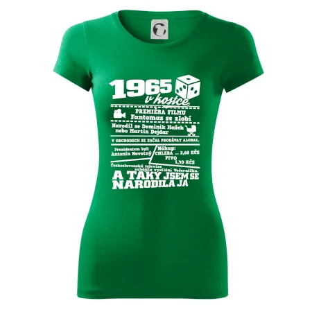 1965 v kostce
