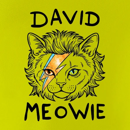 David Meowie