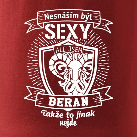 Nesnáším být tak skvělý - Beran