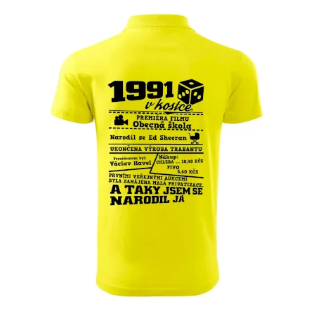 1991 v kostce