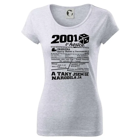 2001 v kostce