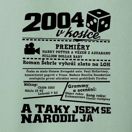 2004 v kostce