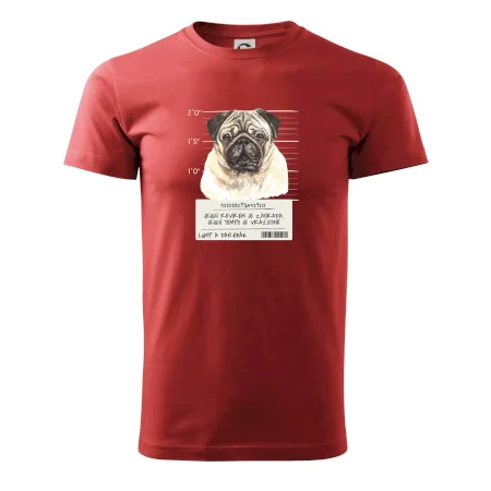 Lump a darebák mopsík
