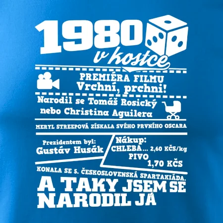 1980 v kostce