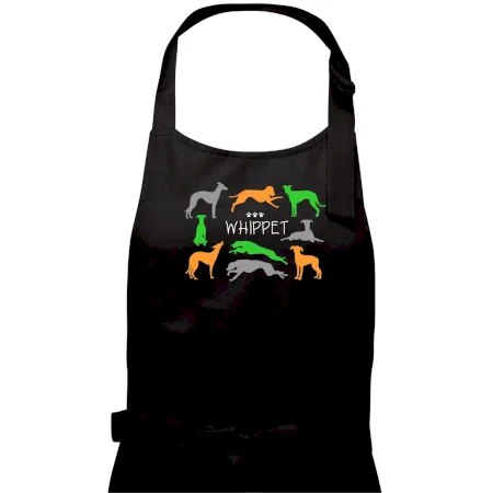 Whippet barevný
