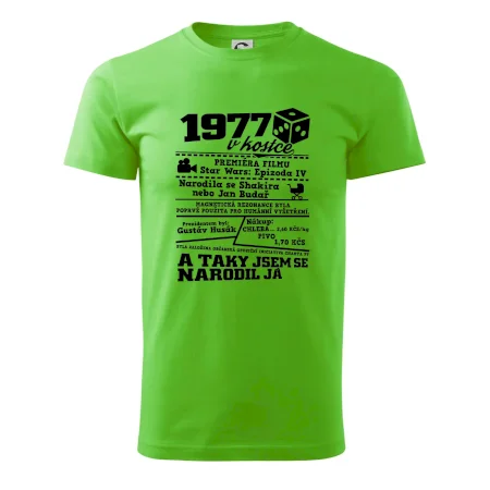 1977 v kostce