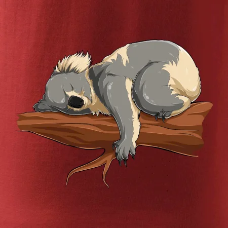 Koala na větvi